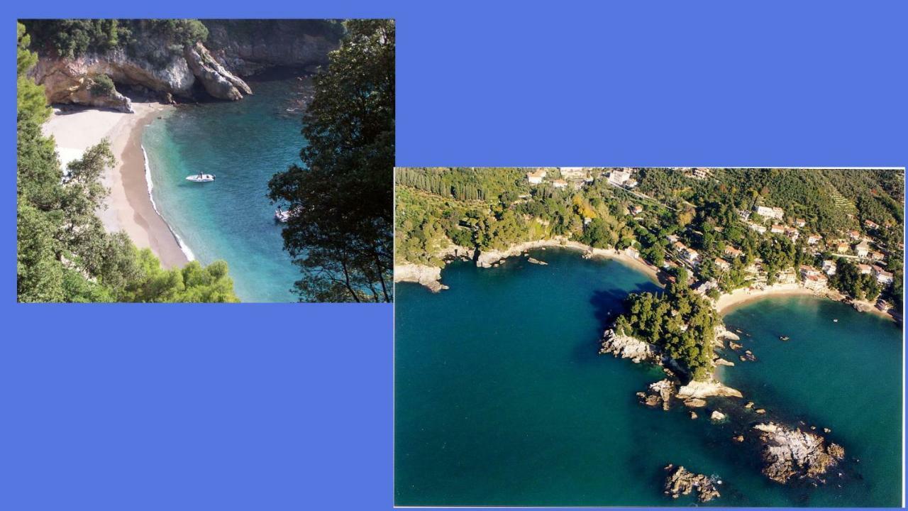 Lusso Accessibile E Servizi Lerici Exterior photo